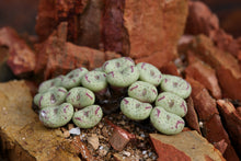 Load image into Gallery viewer, Conophytum fraternum
